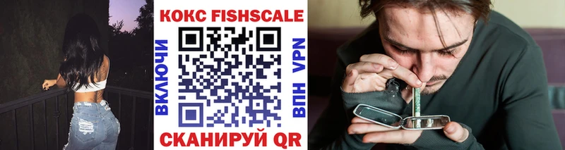 MEGA tor  Лихославль  Cocaine Fish Scale 