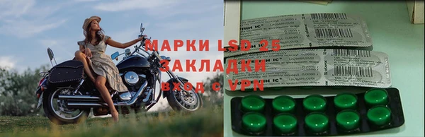 молекула духа Лабытнанги