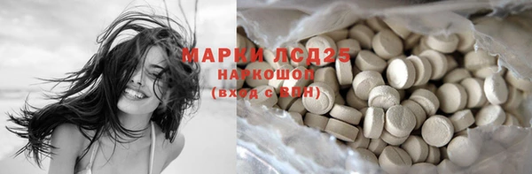 молекула духа Лабытнанги