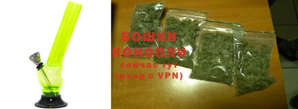молекула духа Лабытнанги