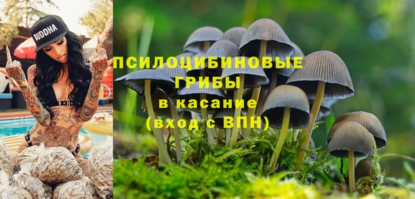 молекула духа Лагань