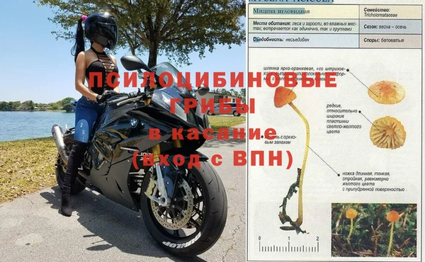 молекула духа Лабытнанги