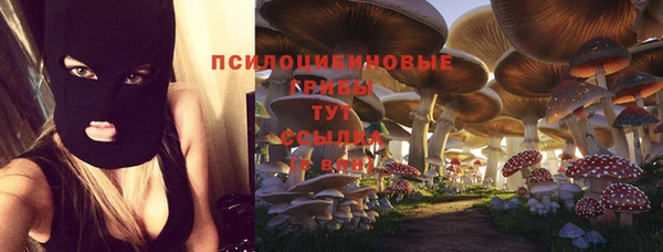 молекула духа Лабытнанги