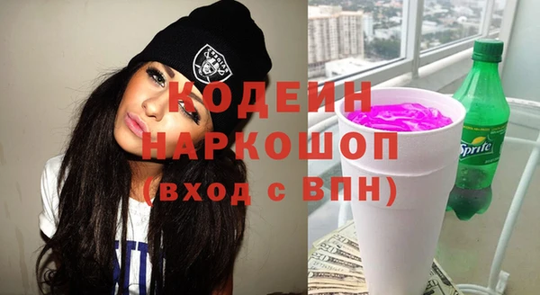 молекула духа Лабытнанги